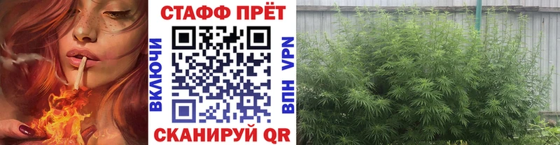 Какие есть наркотики Красноперекопск Кокаин  Альфа ПВП  Бошки Шишки  ГАШ 
