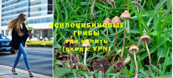 a pvp Белокуриха