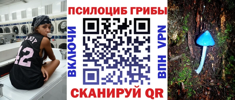 OMG зеркало  Красноперекопск  Псилоцибиновые грибы мицелий 